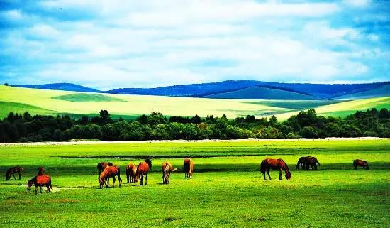 内蒙古风情与传奇探秘