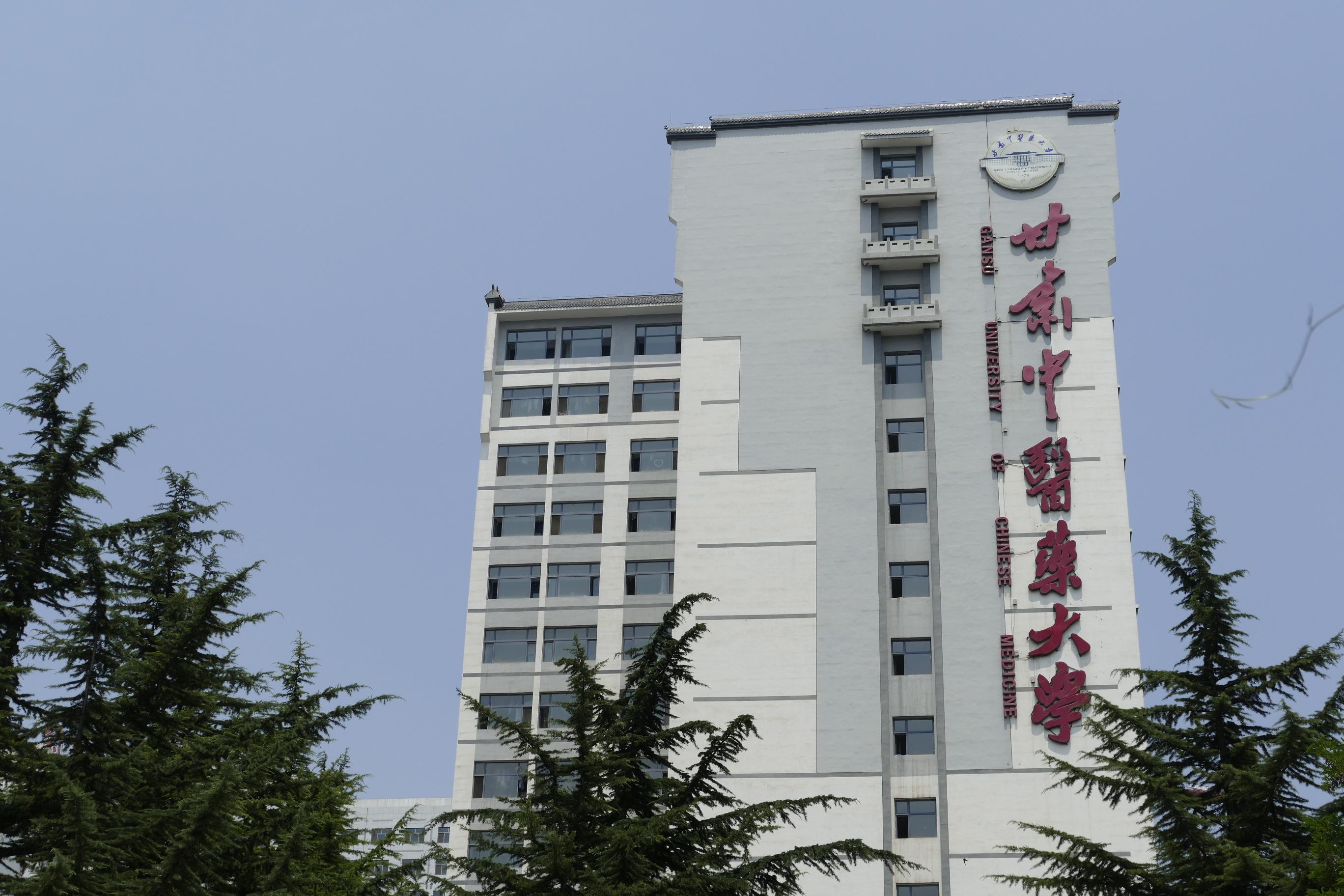 甘肃,嘉宾云集,观众热情洋溢