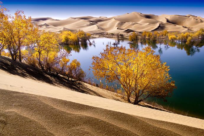 新疆，多元文化交融的和谐发展新篇章